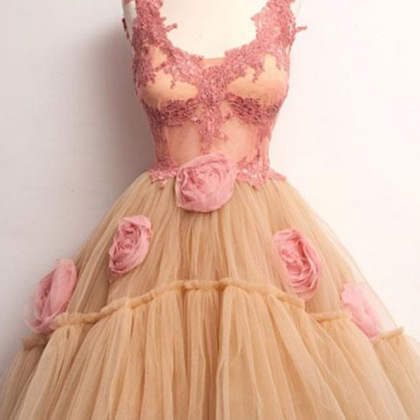 Cute Champagne Lace Tulle Short Prom Dress. Cute..