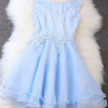 Homecoming Dresses ,organza Embroidered Sleeveless..