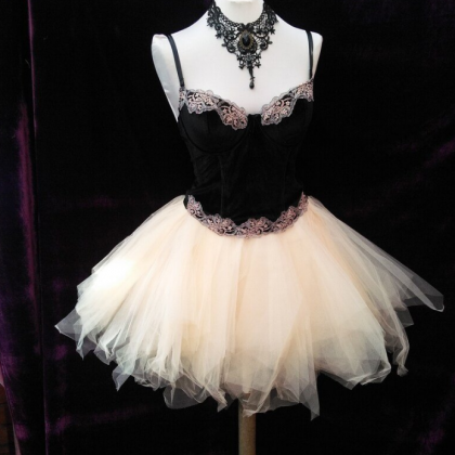 Homecoming Dresses Corset Dress Complete With Lace..