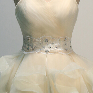 Charming Prom Dress,organza Homecoming Dress,short..