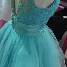 Charming Prom Dress,tulle Prom Gown,o Neck Prom..