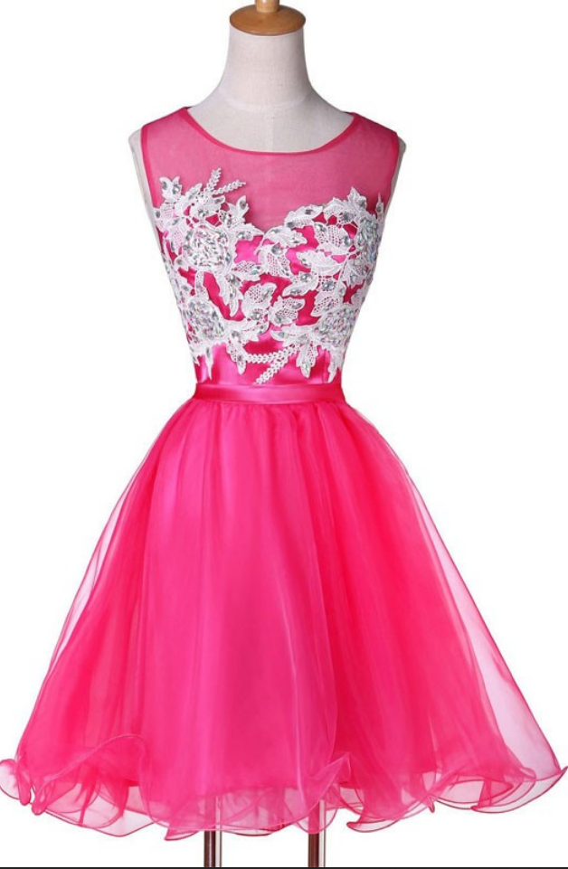 Organza Homecoming Dresses Pink Homecoming Dresses A Lines Sleeveless O-neck Zippers Embroidered Above Knee