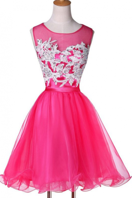 Organza Homecoming Dresses Pink Homecoming Dresses A Lines Sleeveless O-neck Zippers Embroidered Above Knee