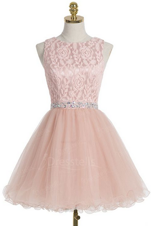 Charming Prom Dress,elegant Homecoming Dress,short Prom Gown,pink Tulle Party Dress