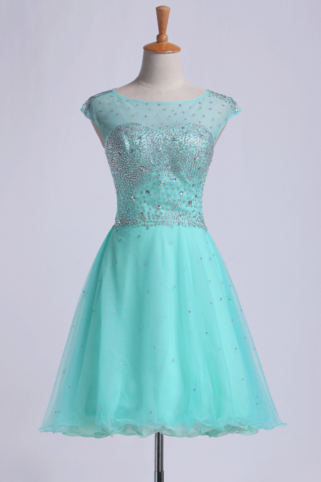 Elegant Open Back Splendid Scoop Neckline Tulle Homecoming Dress, Beautiful Short Dress, Banquet Party Dress
